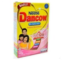 DANCOW Frty Strw Enriched24x300g PRHrAID