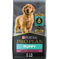 PRO PLAN Puppy Lamb Rice 5x6Lb N0 US